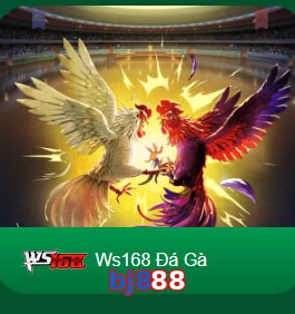 bj888